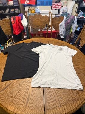 Lot of 2 GAP Fit T-Shirts